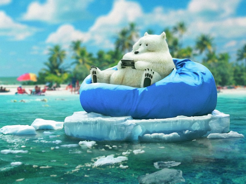 Bear Phone Funny Ice Beach Background