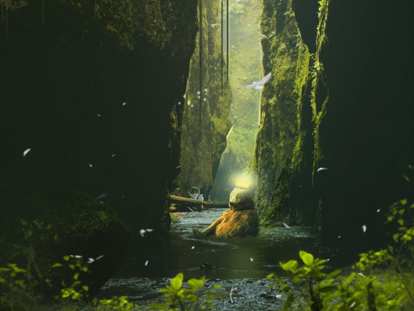 bear, rocks, photoshop, wildlife