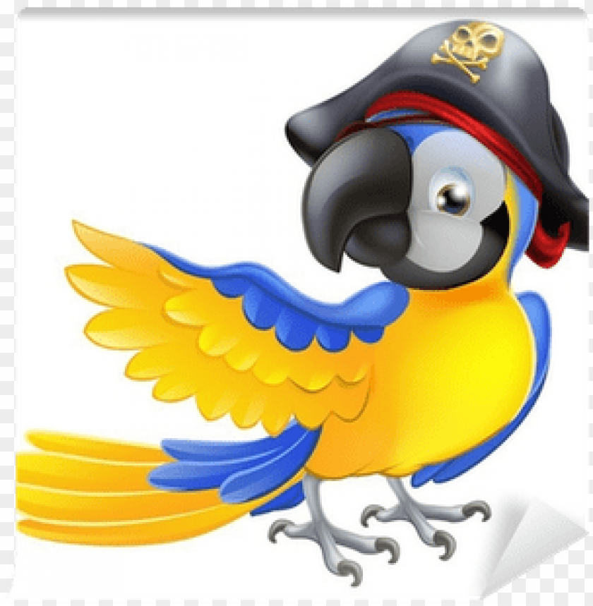 parrot, colorful bird, animated animal, blue and yellow, pirate theme, cartoon character, exotic wildlife