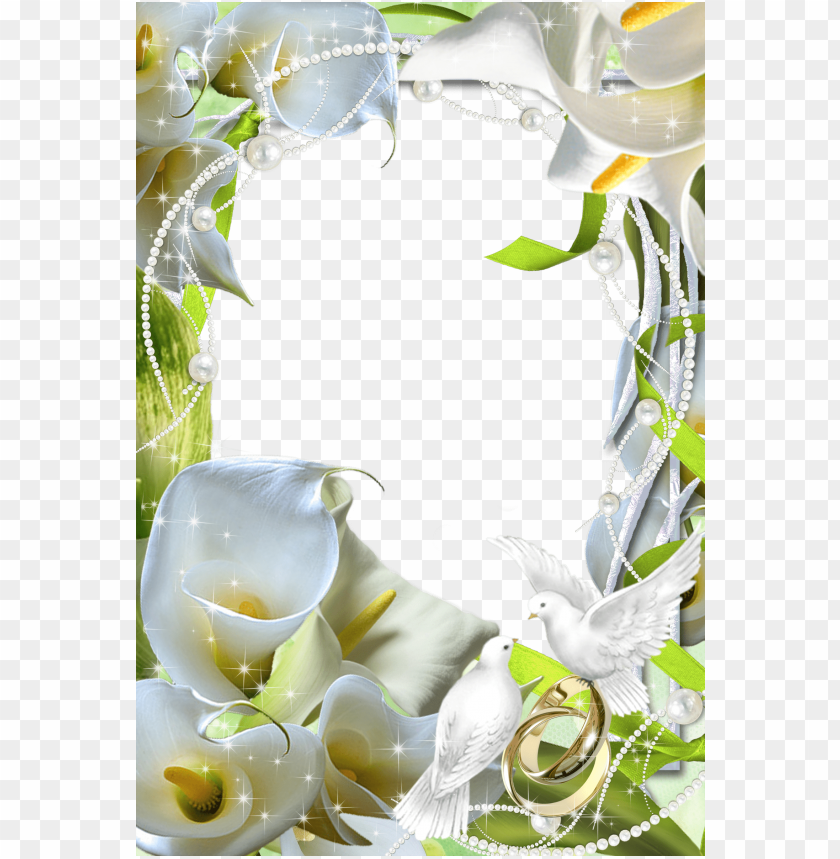 flowers, floral frame, white lilies, greenery, decorative border, wedding decorations, birds