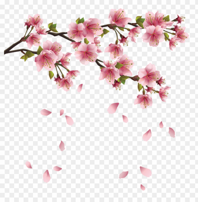 spring png