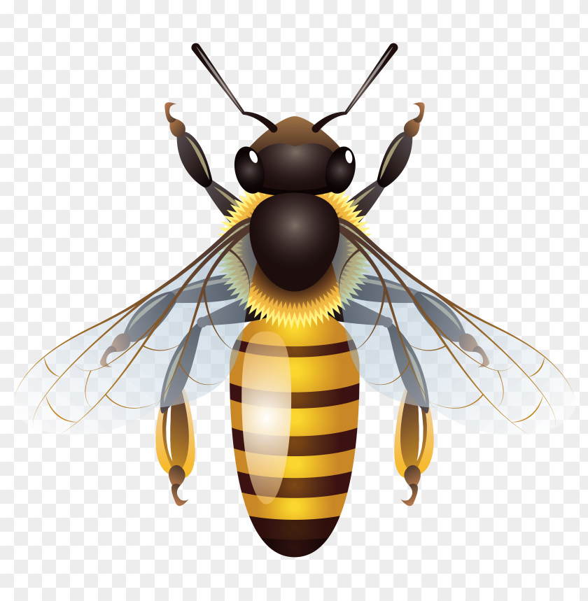 bee