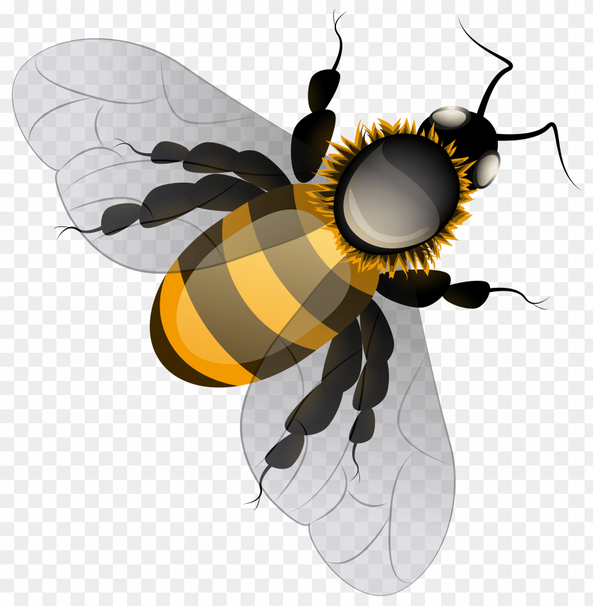 bee