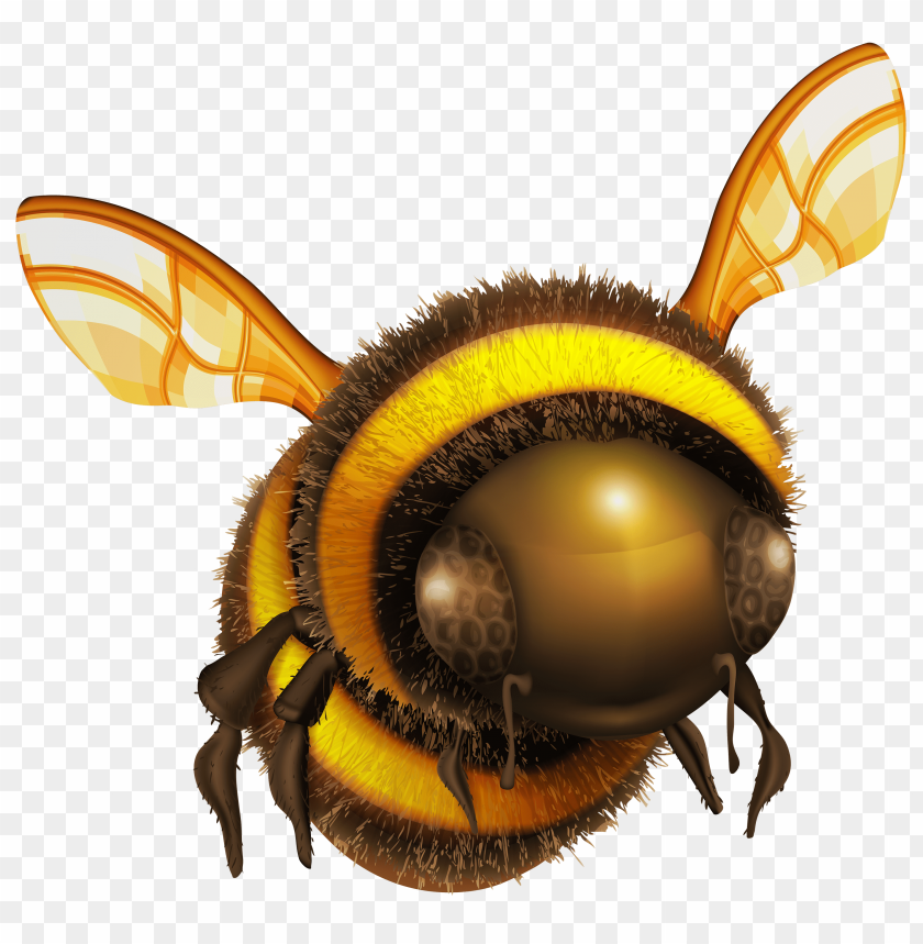 bee