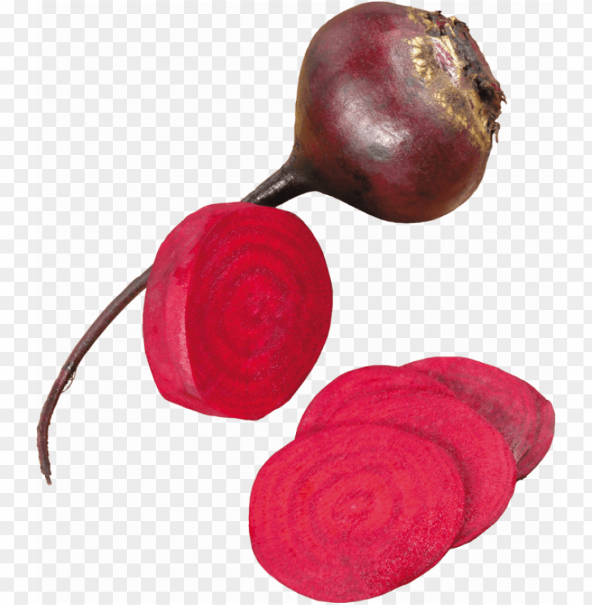 
beet
, 
carrot-shaped root
, 
red beetroot
, 
root vegetable
