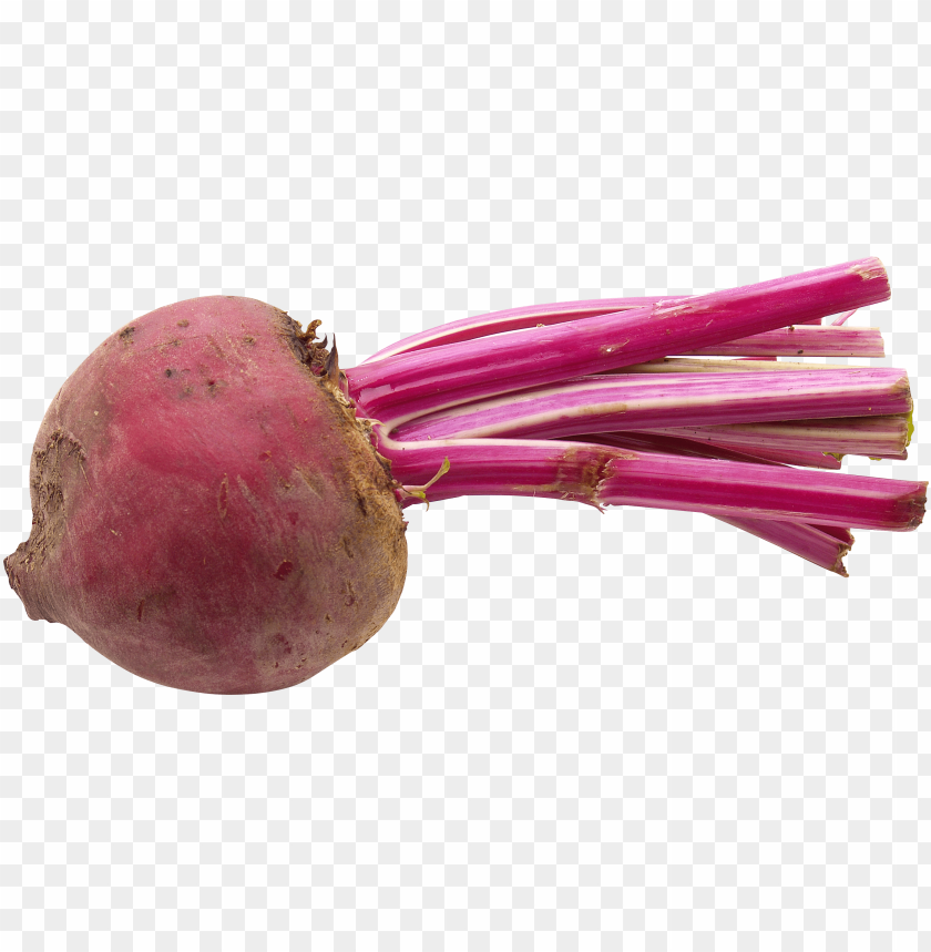 
beet
, 
carrot-shaped root
, 
red beetroot
, 
root vegetable
