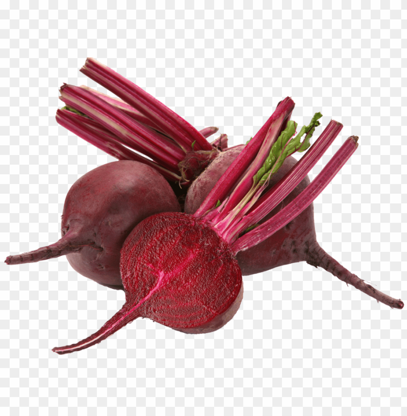 
beet
, 
carrot-shaped root
, 
red beetroot
, 
root vegetable
