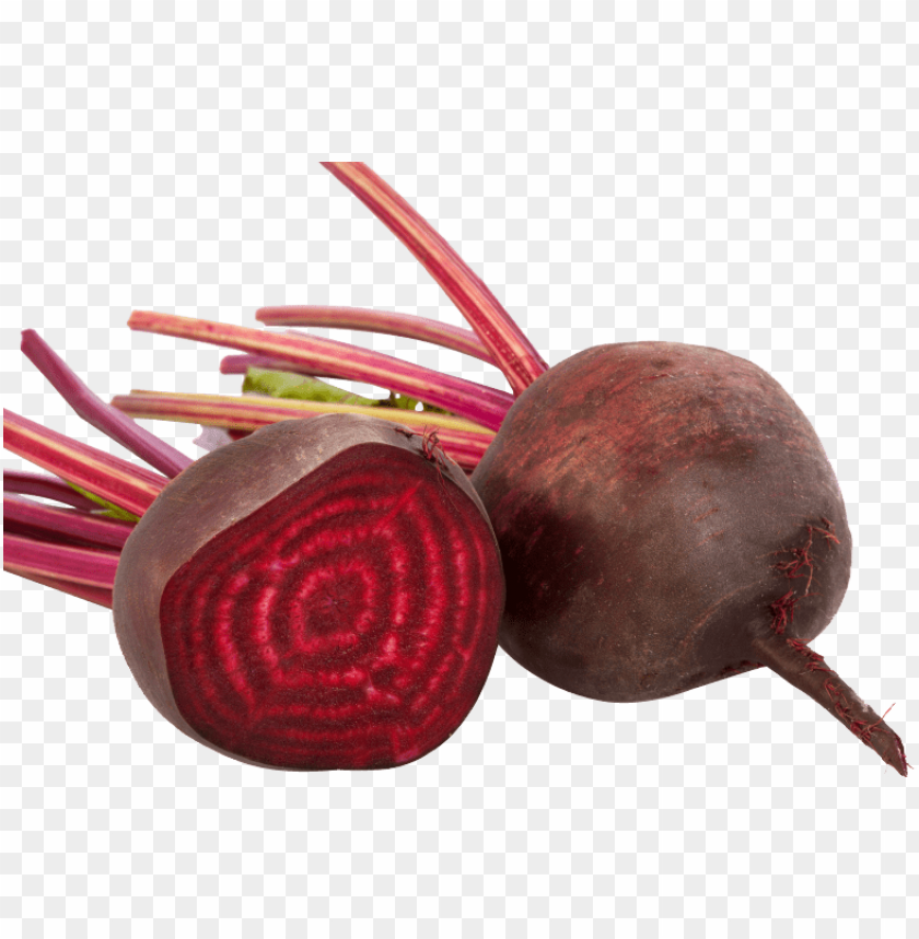 
beet
, 
carrot-shaped root
, 
red beetroot
, 
root vegetable
