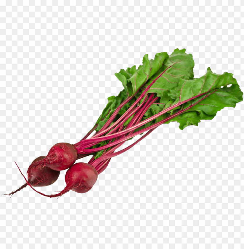 
beet
, 
carrot-shaped root
, 
red beetroot
, 
root vegetable
