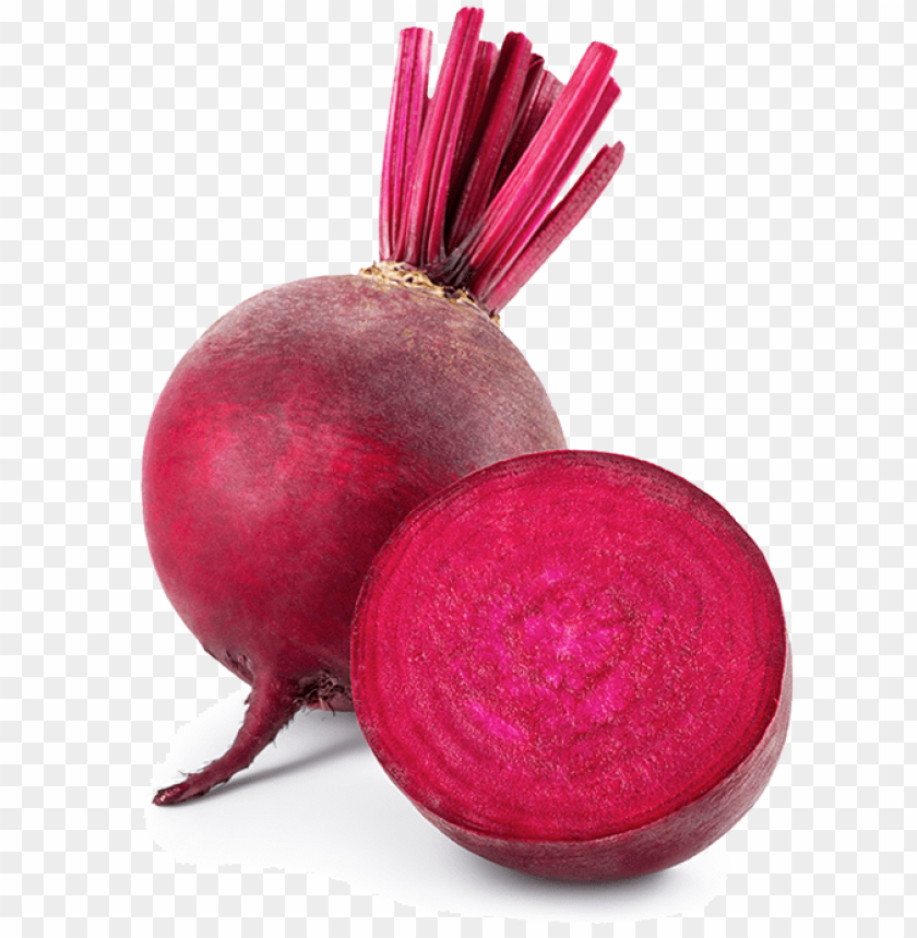 
beet
, 
carrot-shaped root
, 
red beetroot
, 
root vegetable
