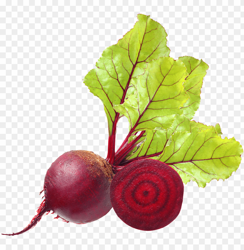 
beet
, 
carrot-shaped root
, 
red beetroot
, 
root vegetable
