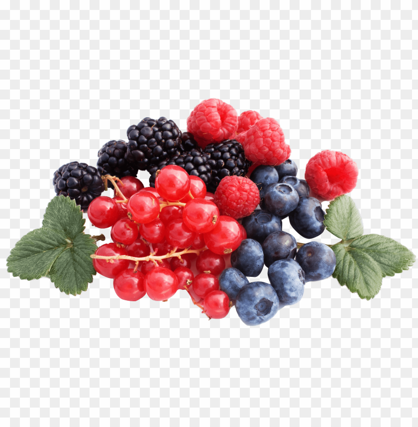 Berries, Raspberries, Blueberries, Blackberries, Red Currants