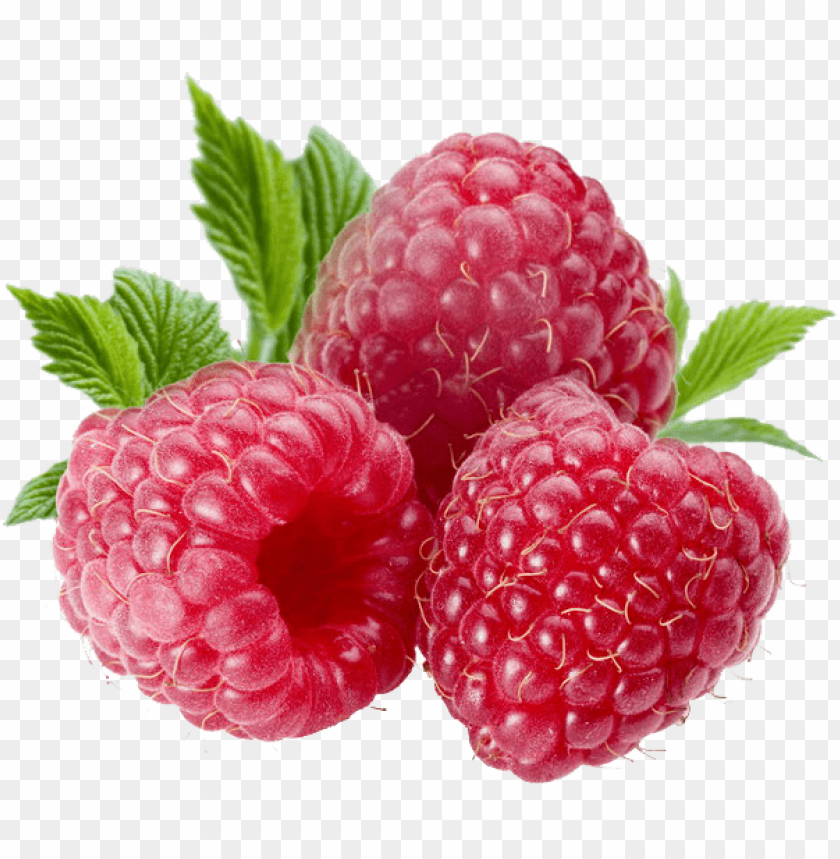 Raspberry, health benefits, recipes, gardening tips, smoothie ideas