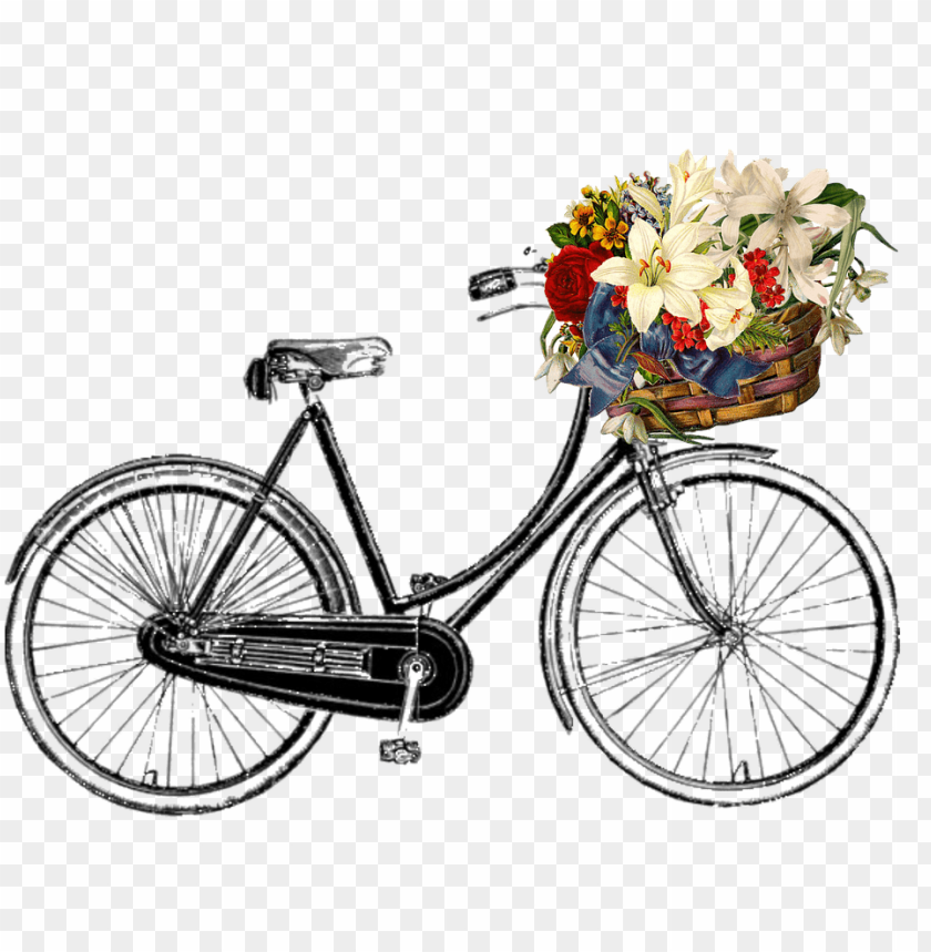 bike png, png,bike