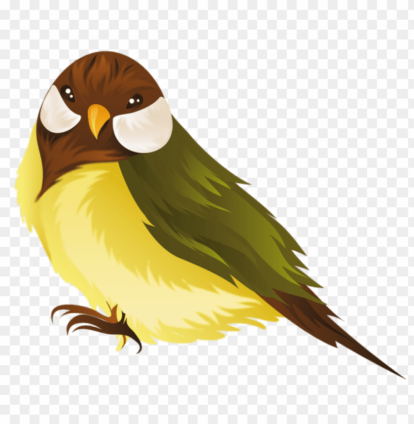 birds png ,bird