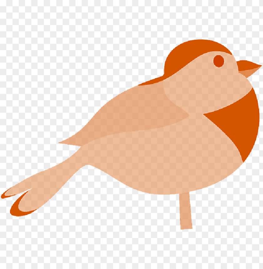 phoenix bird, twitter bird logo, big bird, bird wings, flappy bird pipe, bird