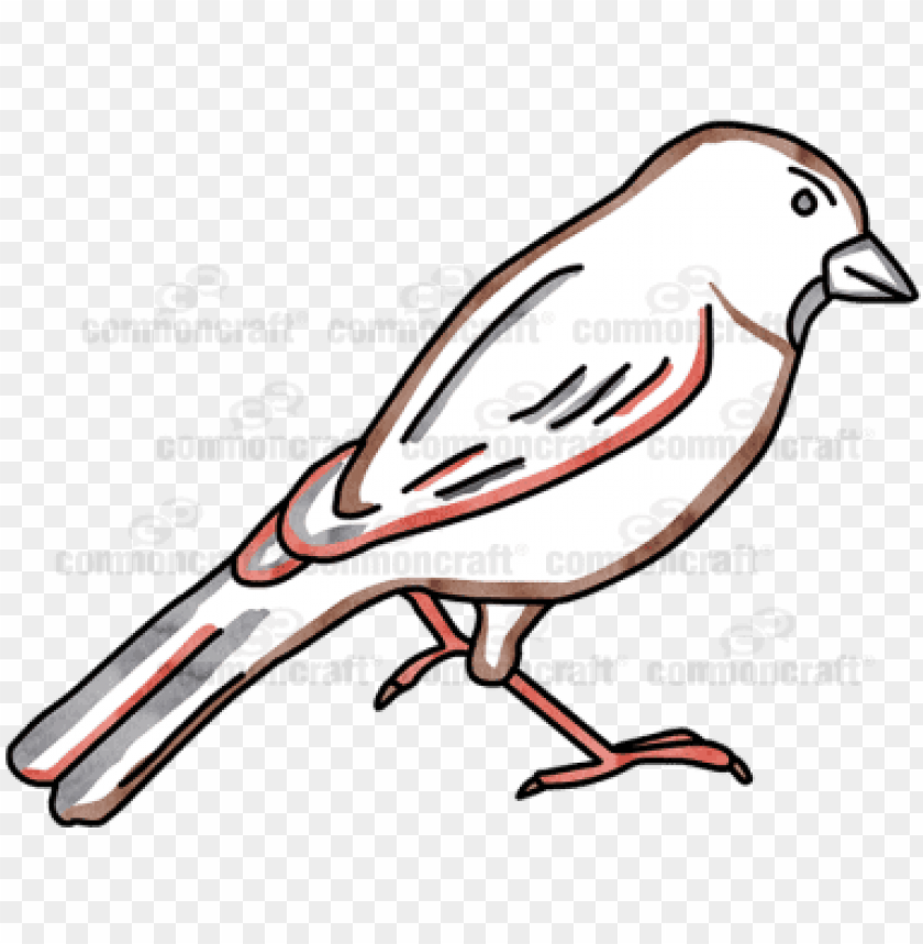 phoenix bird, twitter bird logo, big bird, bird wings, flappy bird pipe, bird