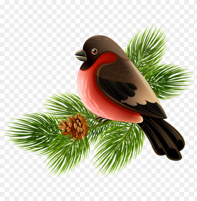 birds png ,bird