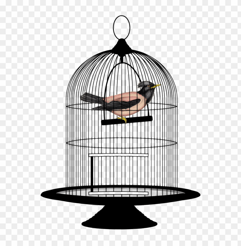 Birdcage PNG, cage, bird, black