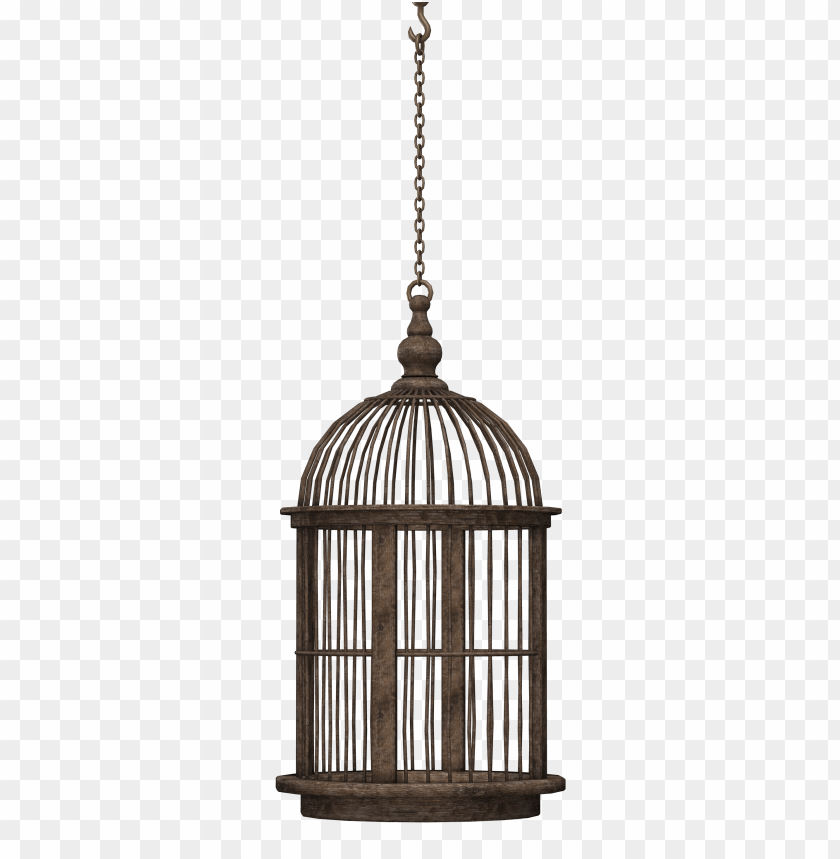 Birdcage PNG, vintage, black, empty