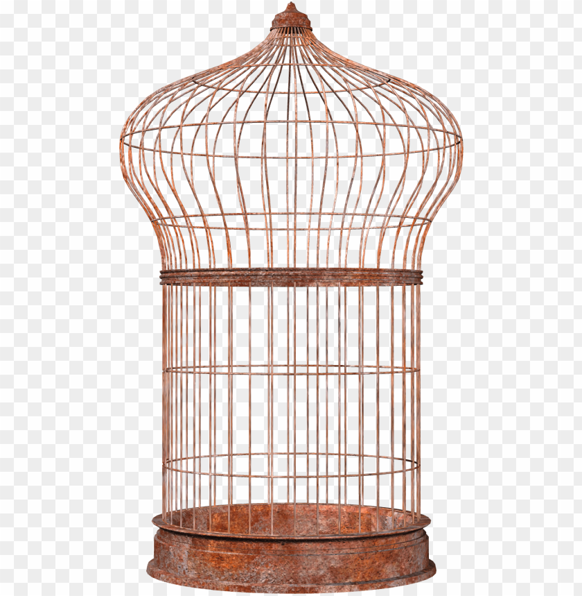 
cage
, 
mesh
, 
wires
, 
animal
, 
bird
