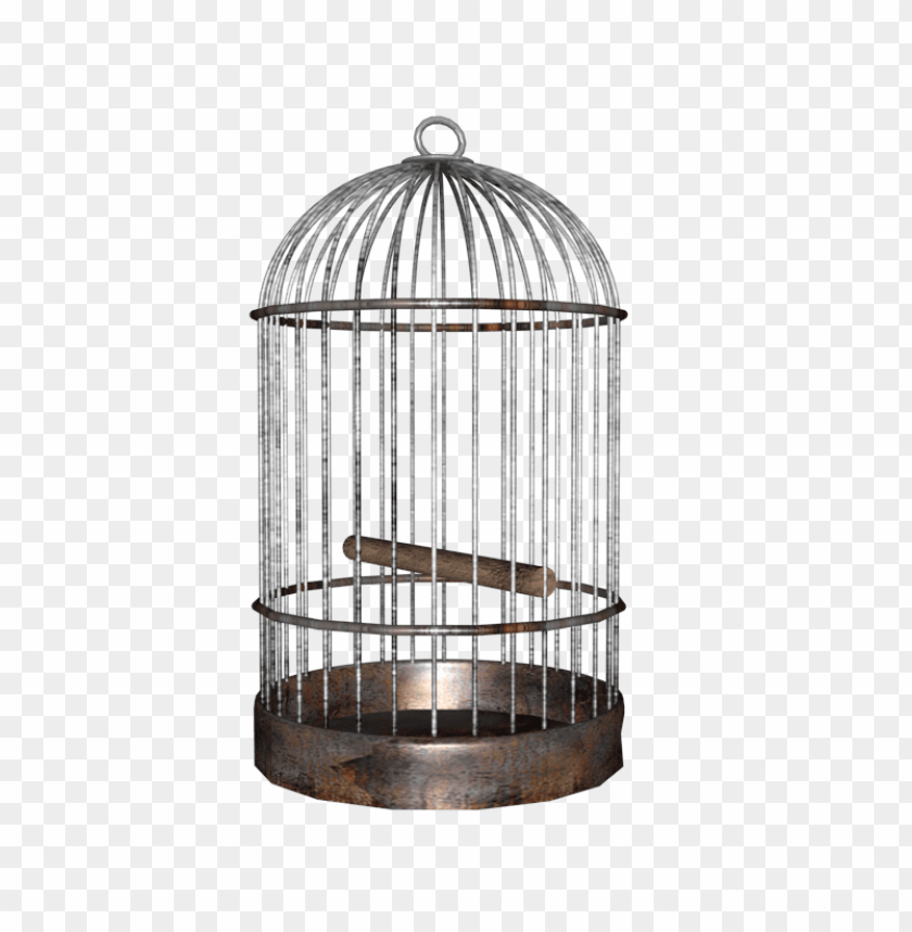 
cage
, 
mesh
, 
wires
, 
animal
, 
bird
