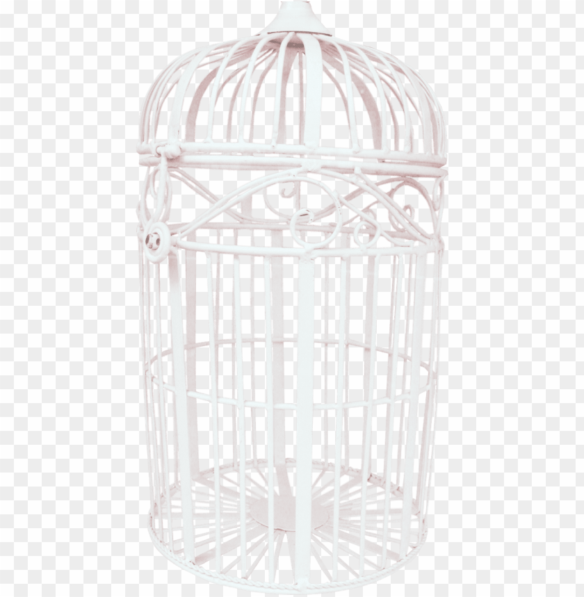 
cage
, 
mesh
, 
wires
, 
animal
, 
bird
