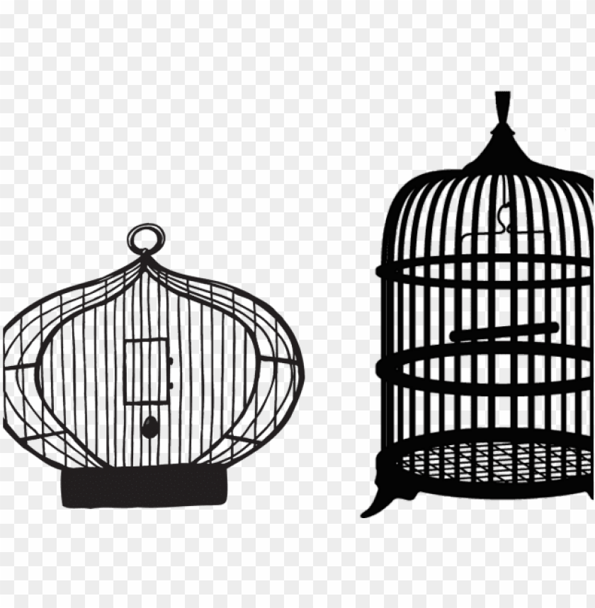 bird cage, phoenix bird, twitter bird logo, big bird, steel cage, bird wings