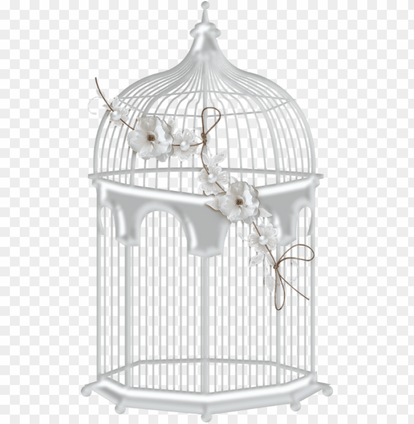 phoenix bird, twitter bird logo, big bird, steel cage, bird wings