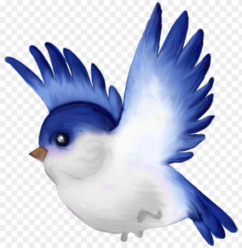 birds flying, pinterest, pinterest logo, angry birds, flock of birds, pinterest logo transparent background