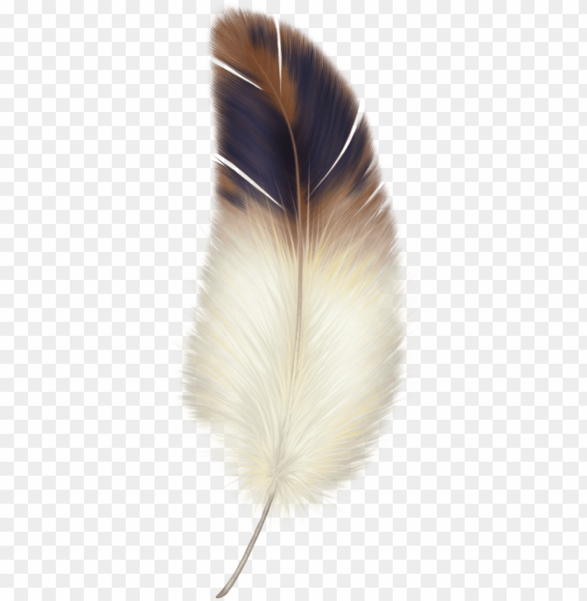 feather silhouette, feather vector, indian feather, feather drawing, feather, feather pen