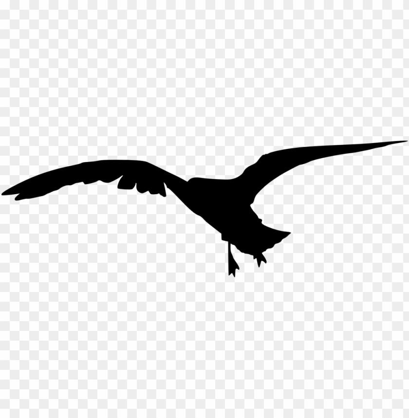 silhouette png,silhouette png image,silhouette png file,silhouette transparent background,silhouette images png,silhouette images clip art,bird