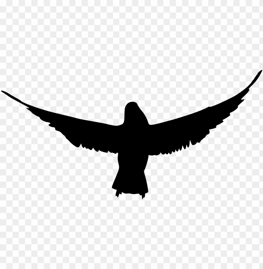 phoenix bird, twitter bird logo, big bird, bird wings, flappy bird pipe, bird