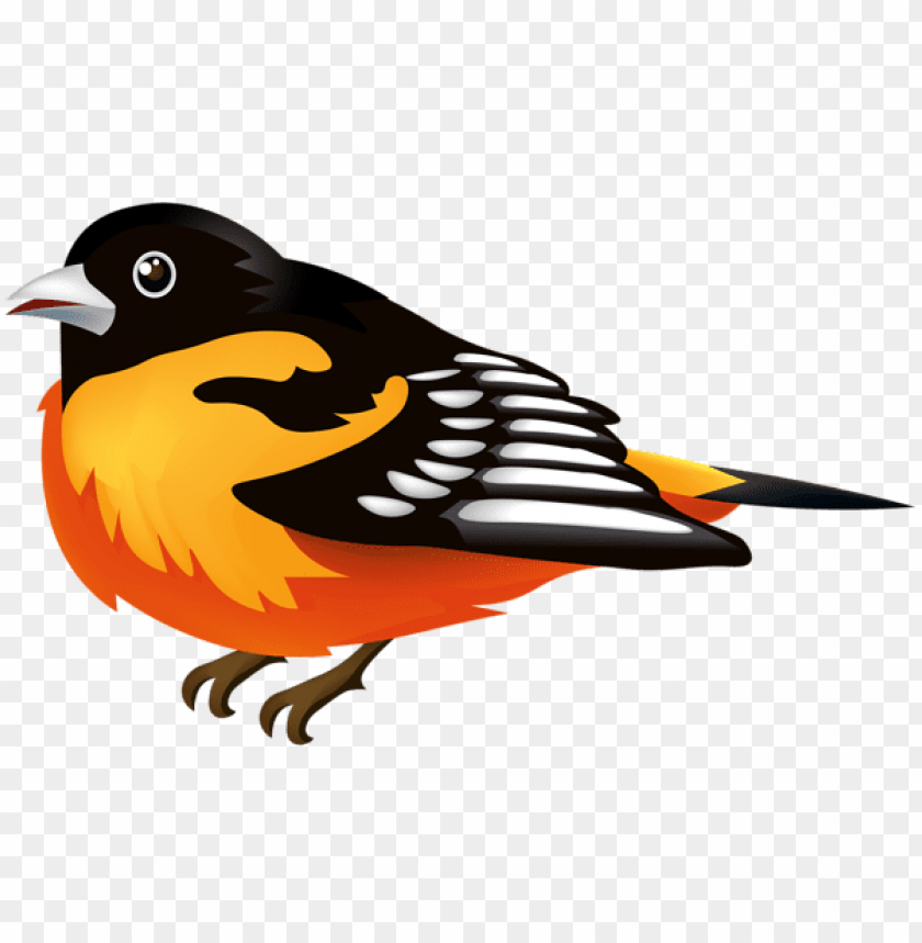 birds png ,bird