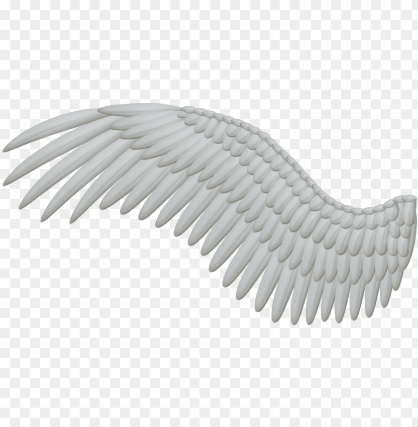 bird wings, chicken wings, angel wings, angel wings clipart, butterfly wings, black angel wings