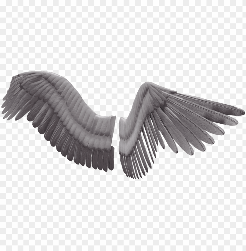 angel wings, angel wings clipart, black angel wings, angel wings vector, bird wings, chicken wings