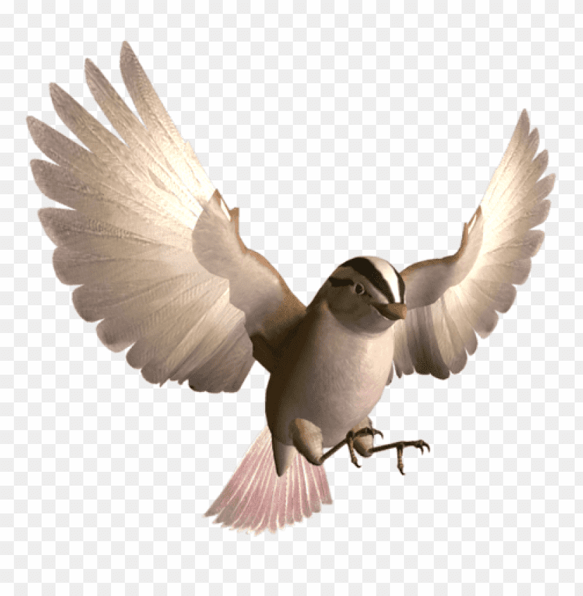 Bird in mid-flight with outstretched wings and soft feathers PNG