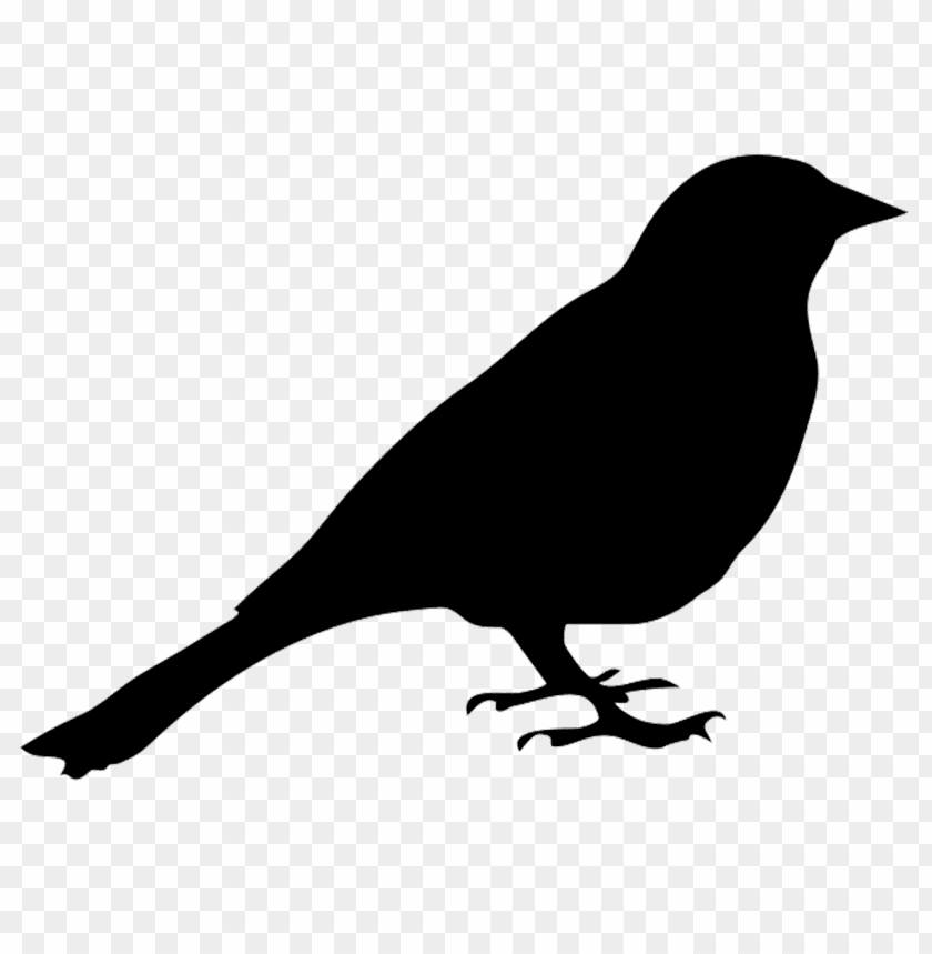 Silhouette of a bird in profile view on a transparent background PNG