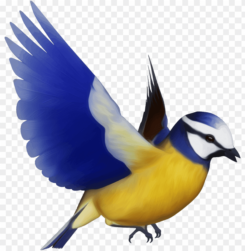 Colorful bird with blue wings and yellow body in flight PNG