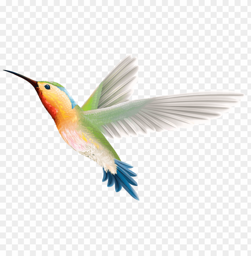 Colorful hummingbird in flight with vibrant feathers and wings spread PNG