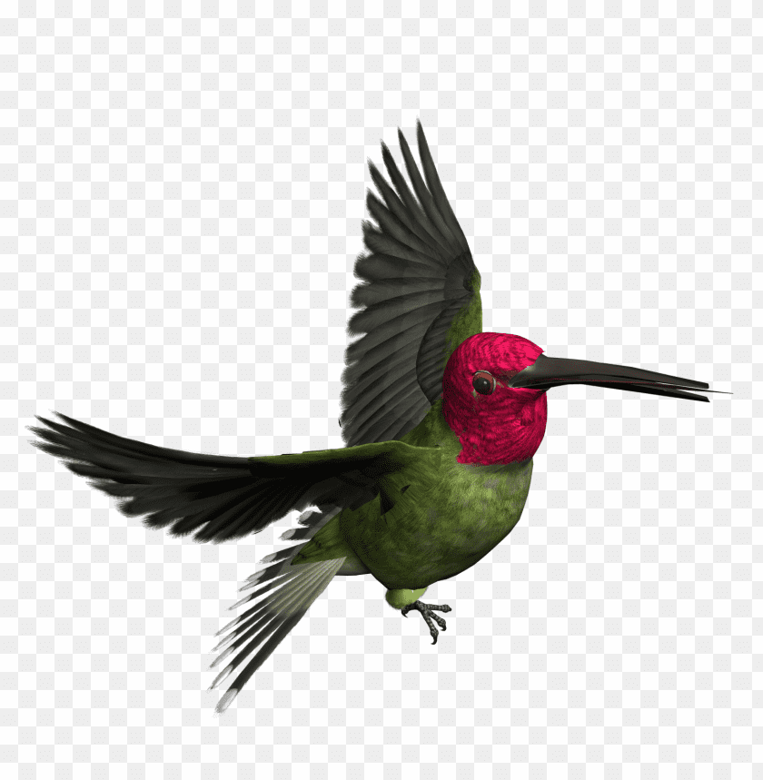 Colorful hummingbird in mid-flight with vibrant green and red feathers PNG