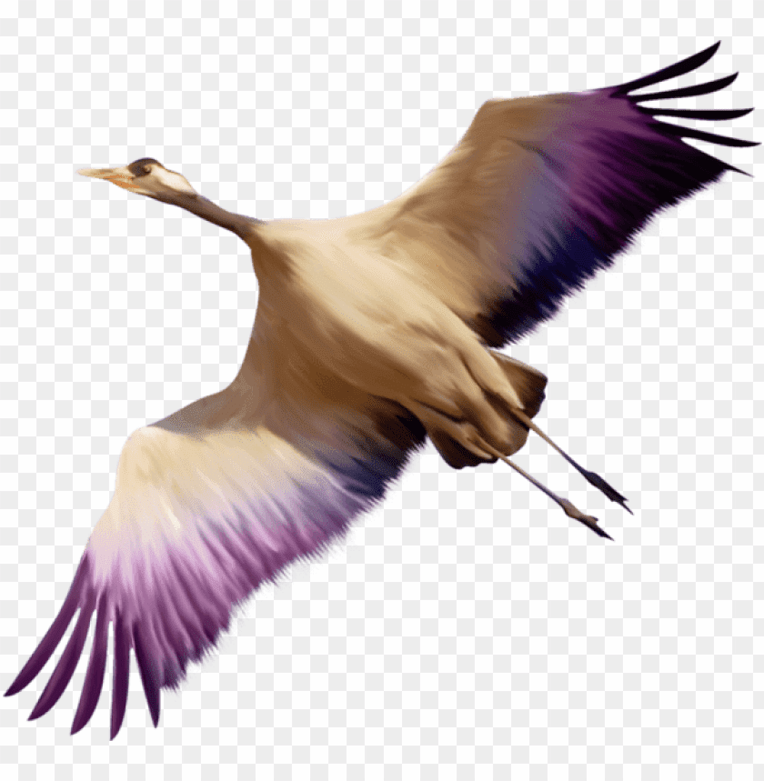 A majestic crane with spread wings in flight, showcasing vibrant colors PNG