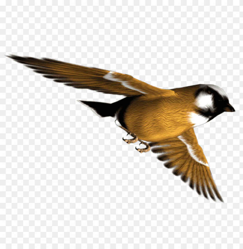 A flying bird with brown and white feathers against a transparent background PNG