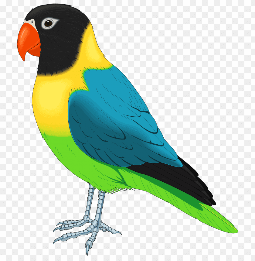 Colorful parrot with black head, yellow chest, and green body PNG