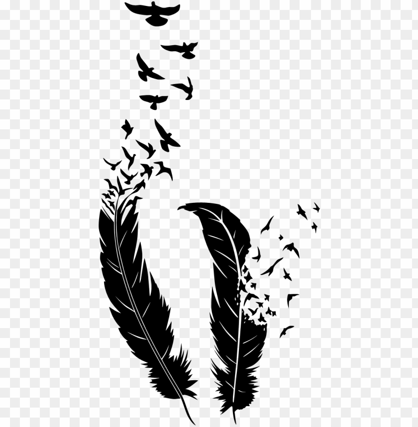 feathers, birds, nature, wildlife, flight, silhouette, black and white