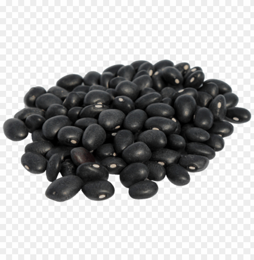 black beans, protein source, plant-based diet, recipe ideas, nutrient-rich ingredients