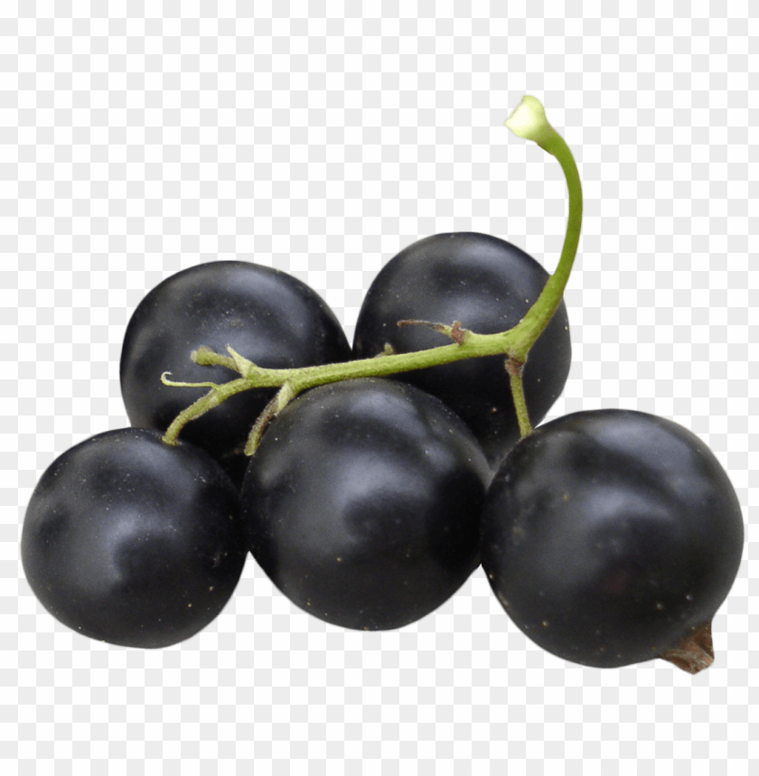 Black Grapes PNG, fruit, juicy, sweet