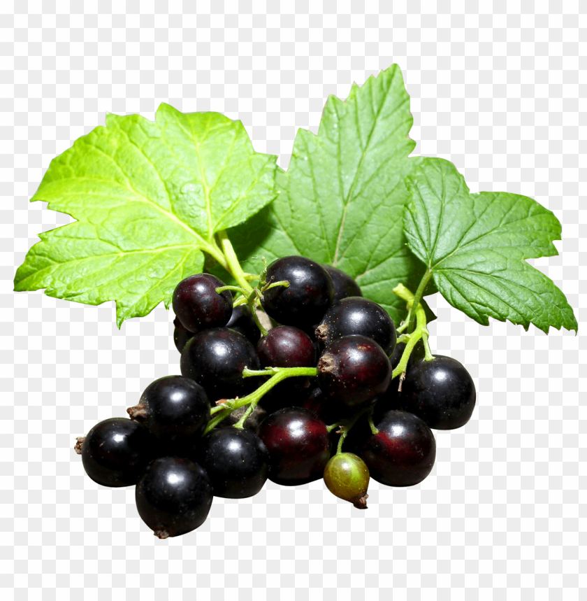 fruits, blackcurrant, healthy snacks, antioxidants, natural sweetness