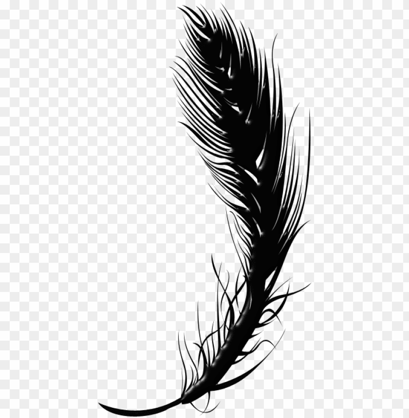 pen and paper, feather silhouette, feather vector, indian feather, feather drawing