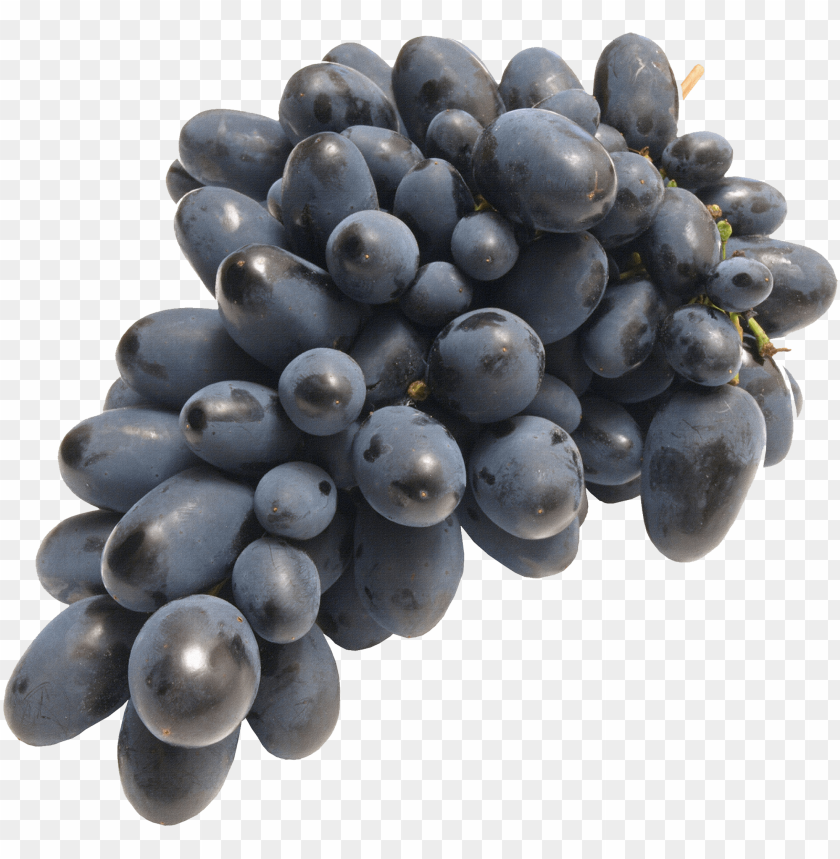 
grape
, 
berry
, 
grapes
, 
fruit
, 
black grapes
